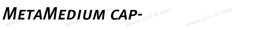MetaMedium cap字体转换